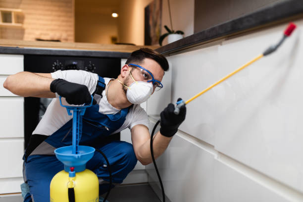 Trusted Carterville, MO Pest Control Experts