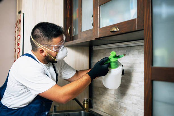 Best Pest Inspection Near Me  in Carterville, MO