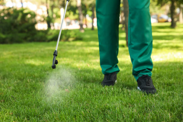 Best Affordable Pest Control Services  in Carterville, MO