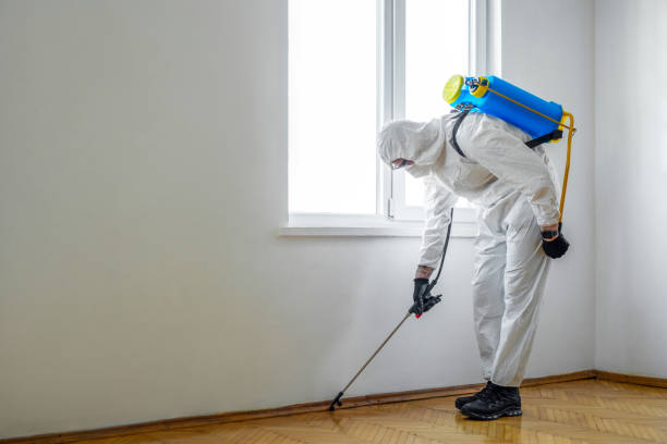 Best Mosquito Control Services  in Carterville, MO