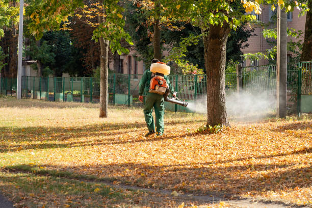 Best Best Pest Control Companies  in Carterville, MO