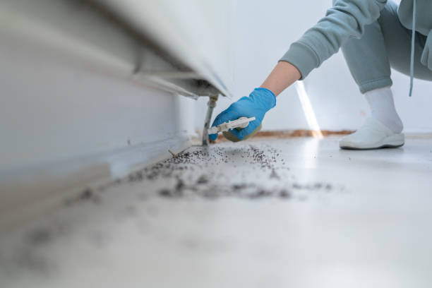 Best Bed Bug Extermination  in Carterville, MO