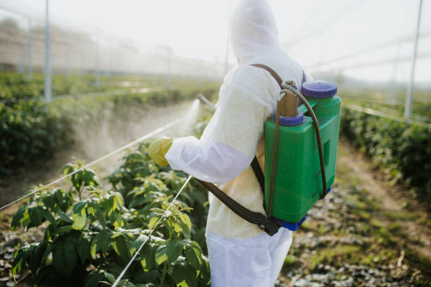 Best Pest Control Near Me  in Carterville, MO